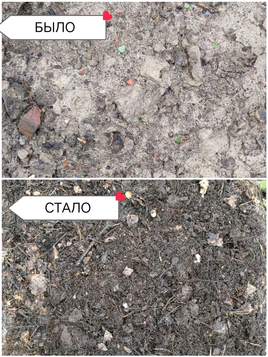 Гордимся ли собой? БЕЗУСЛОВНО!!!!