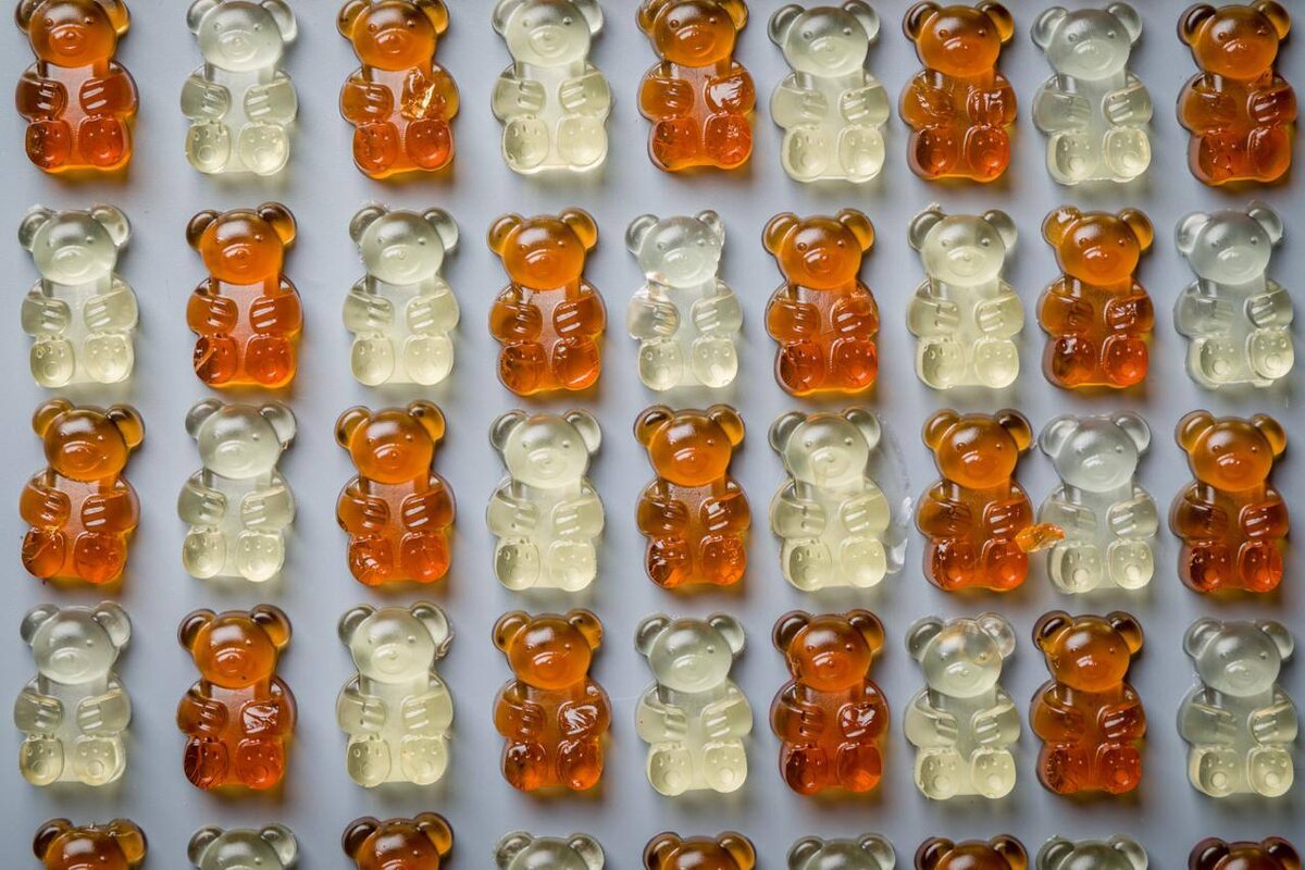 Пивные мишки в «Ян Примус»