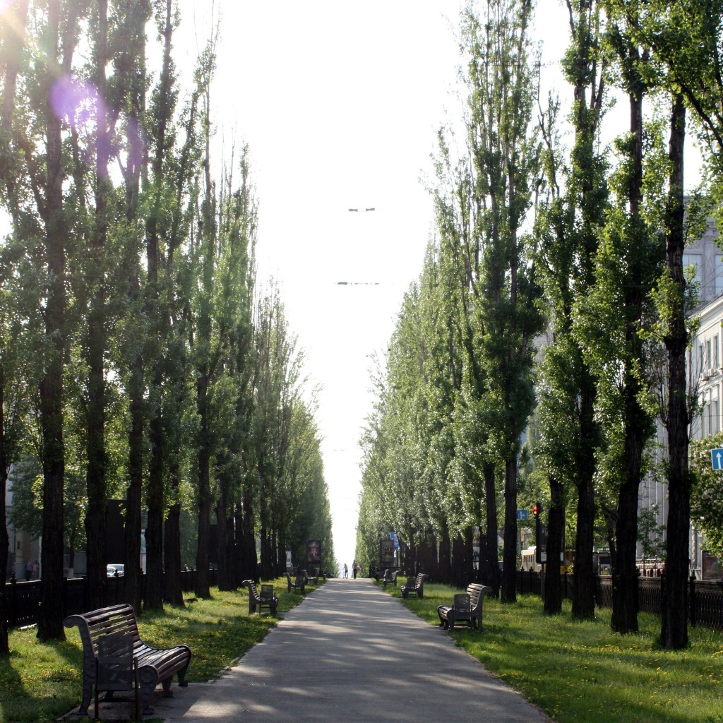 яндекс картинки