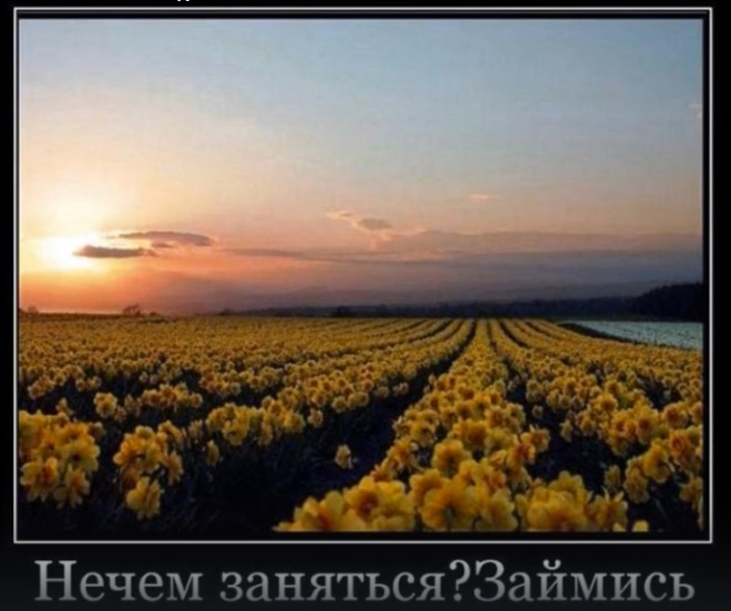 Четыре правила времени