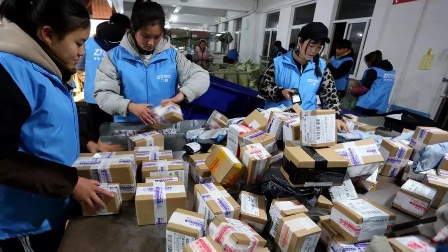 Как китаец заработал 100 млн рублей на новогодних елках. Фото: Синьхуа