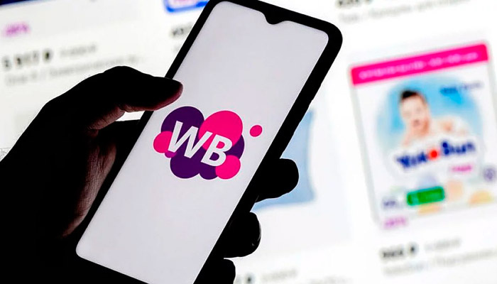 Торговцы из КНР осваивают российские маркетплейсы. Фото: vgtimes.ru