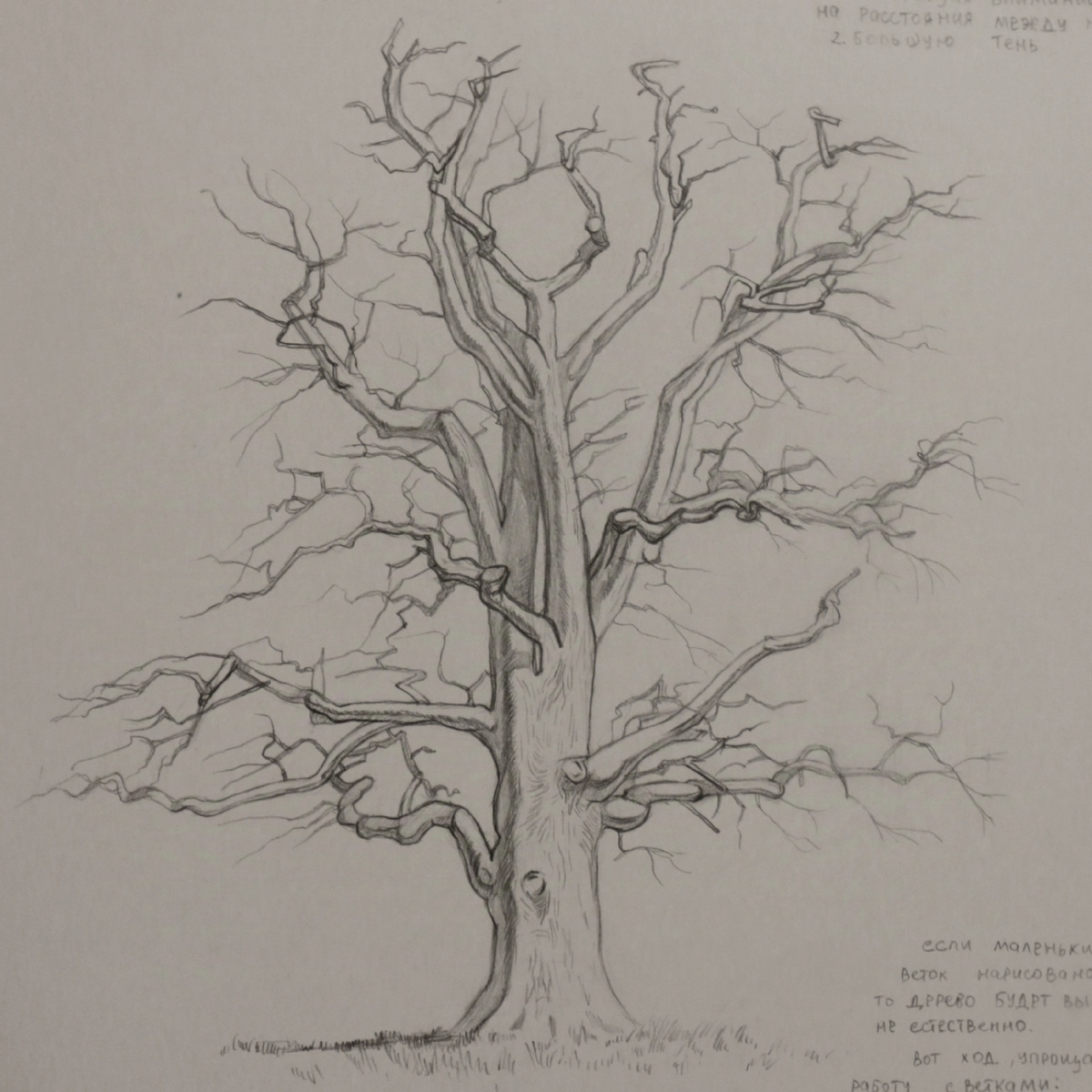 Увеличенный фрагмент. 1 й уровень сложности 