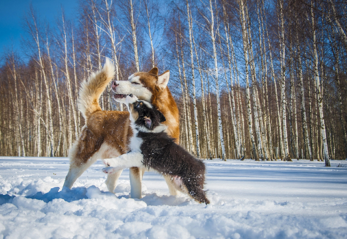 Валя и Игорь 2020 год