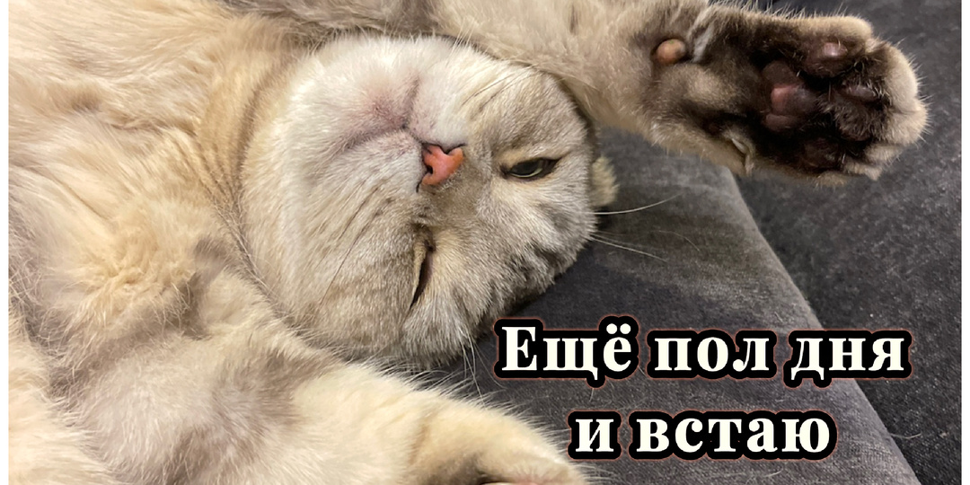 Потому, что выходной🤗