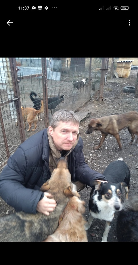 Алексей Гричухин