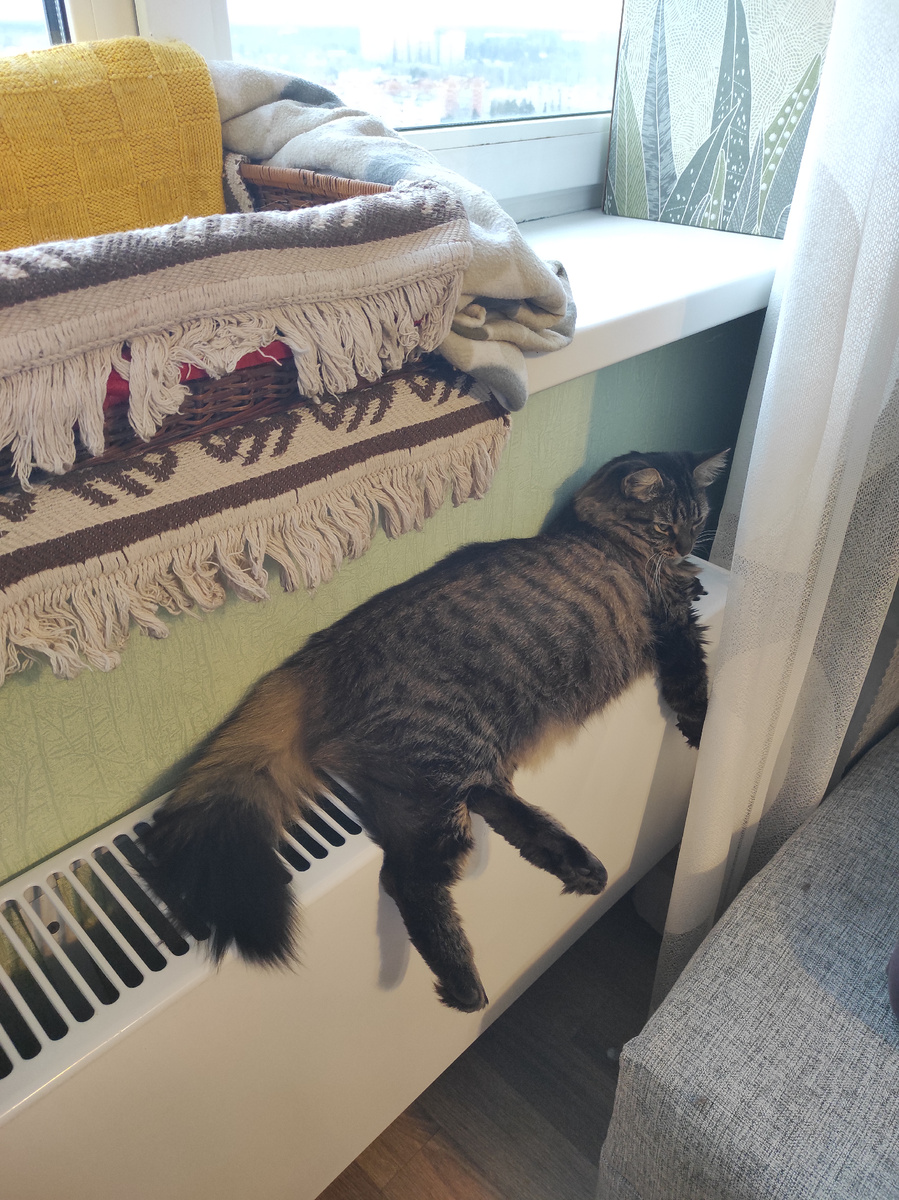 Лучшие друзья Чушки это батареи