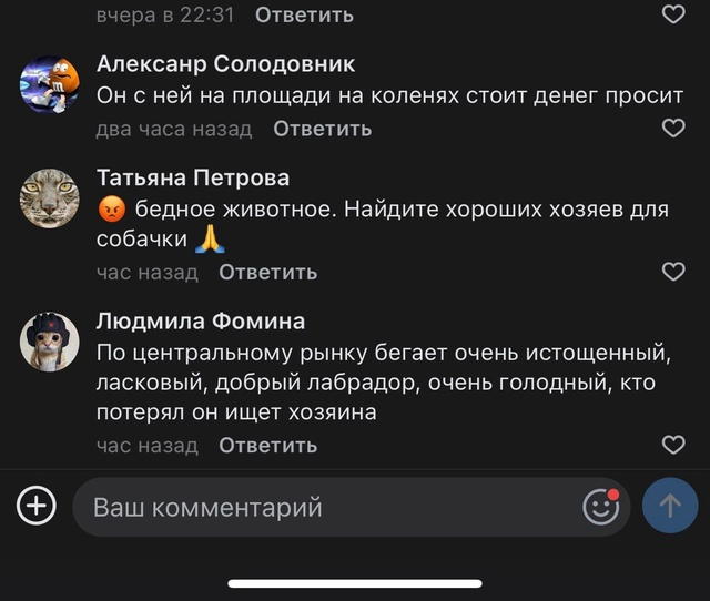 Люди не могли остаться в стороне и стали вовсеуслышание бить тревогу