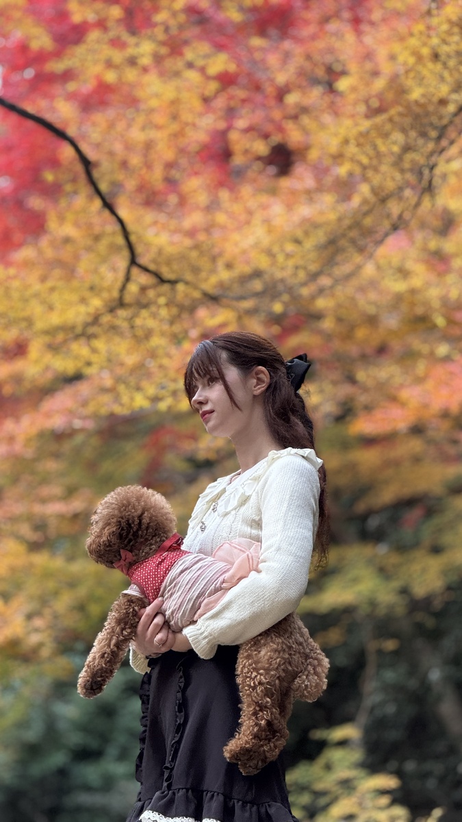 Автор блога