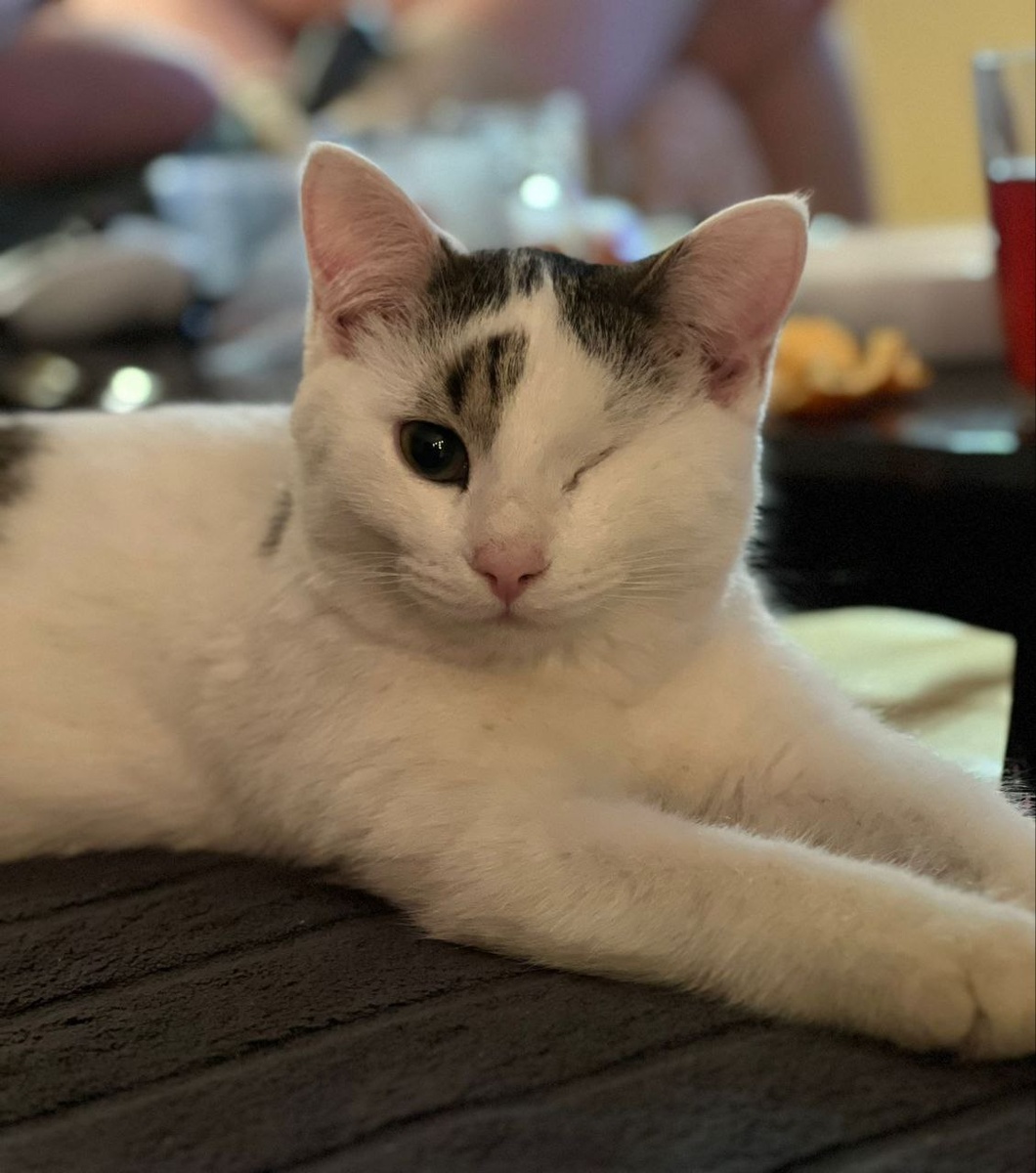 Выпускник приюта Вайт спешит с приветом!