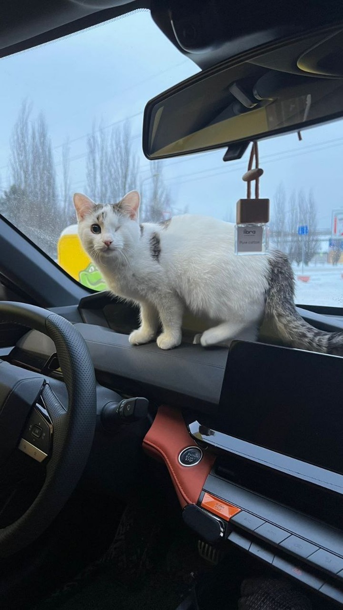 Всегда вместе!