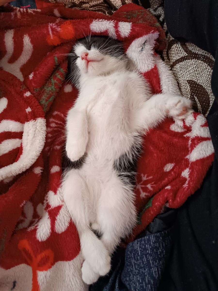 Фото автора. Спит после водных процедур