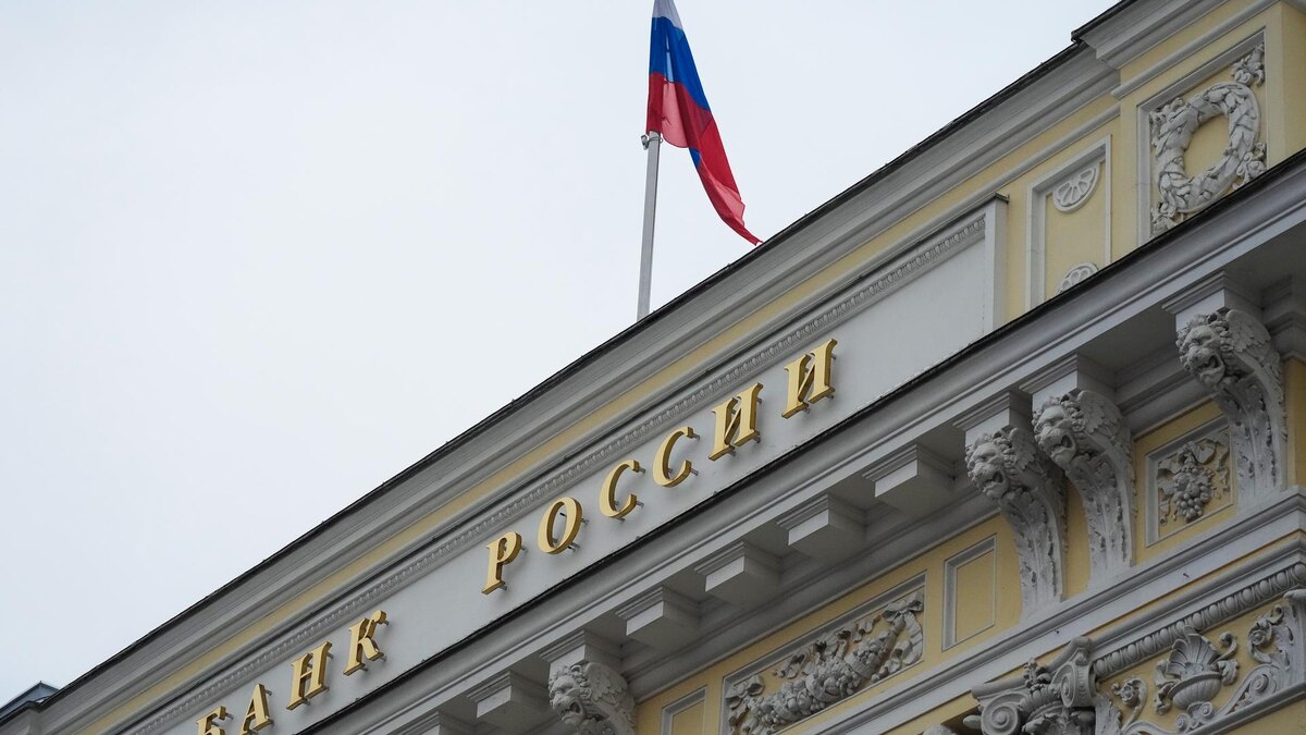    Фото: ИЗВЕСТИЯ/Дмитрий Коротаев