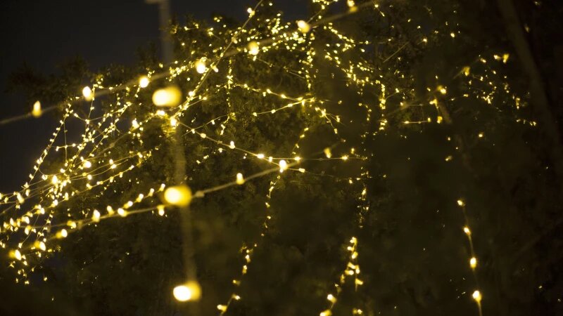     Парк "Изумрудный" и самая красивая елка в Барнауле. Дарья Беркетова