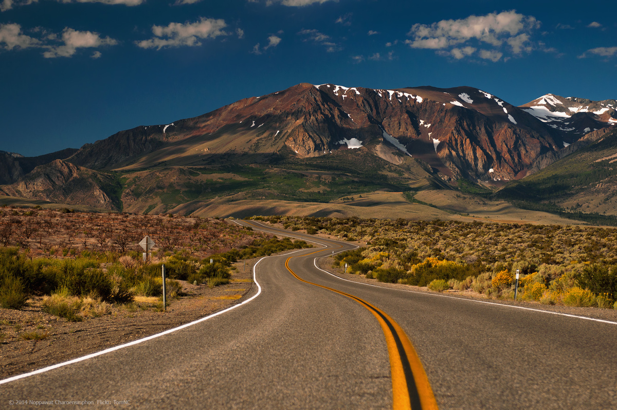 Яндекс картинки. Моя Калифорния.