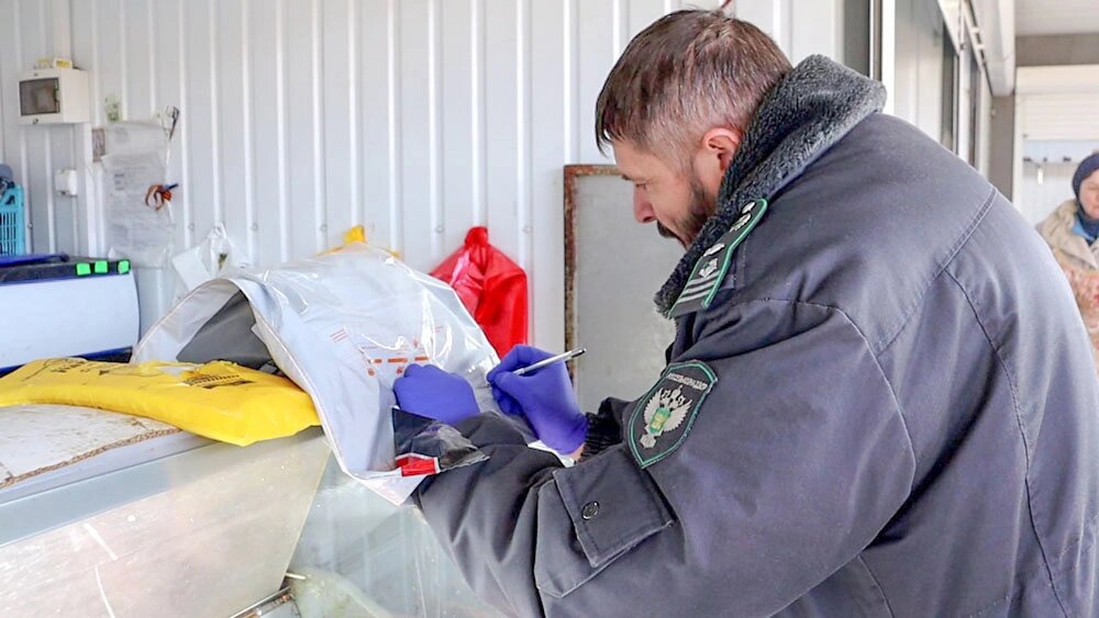    Пробы разной рыбы берут также в точках продаж. Фото: Из архива/ Азово-Черноморское межрегиональное управление Россельхознадзора.