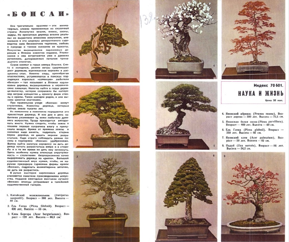 Источник: http://publ.lib.ru/ARCHIVES/N/''Nauka_i_jizn'''_(jurnal)/Nauka_i_jizn',1965,N04.[pdf].zip