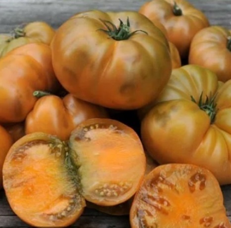 Фото из сети