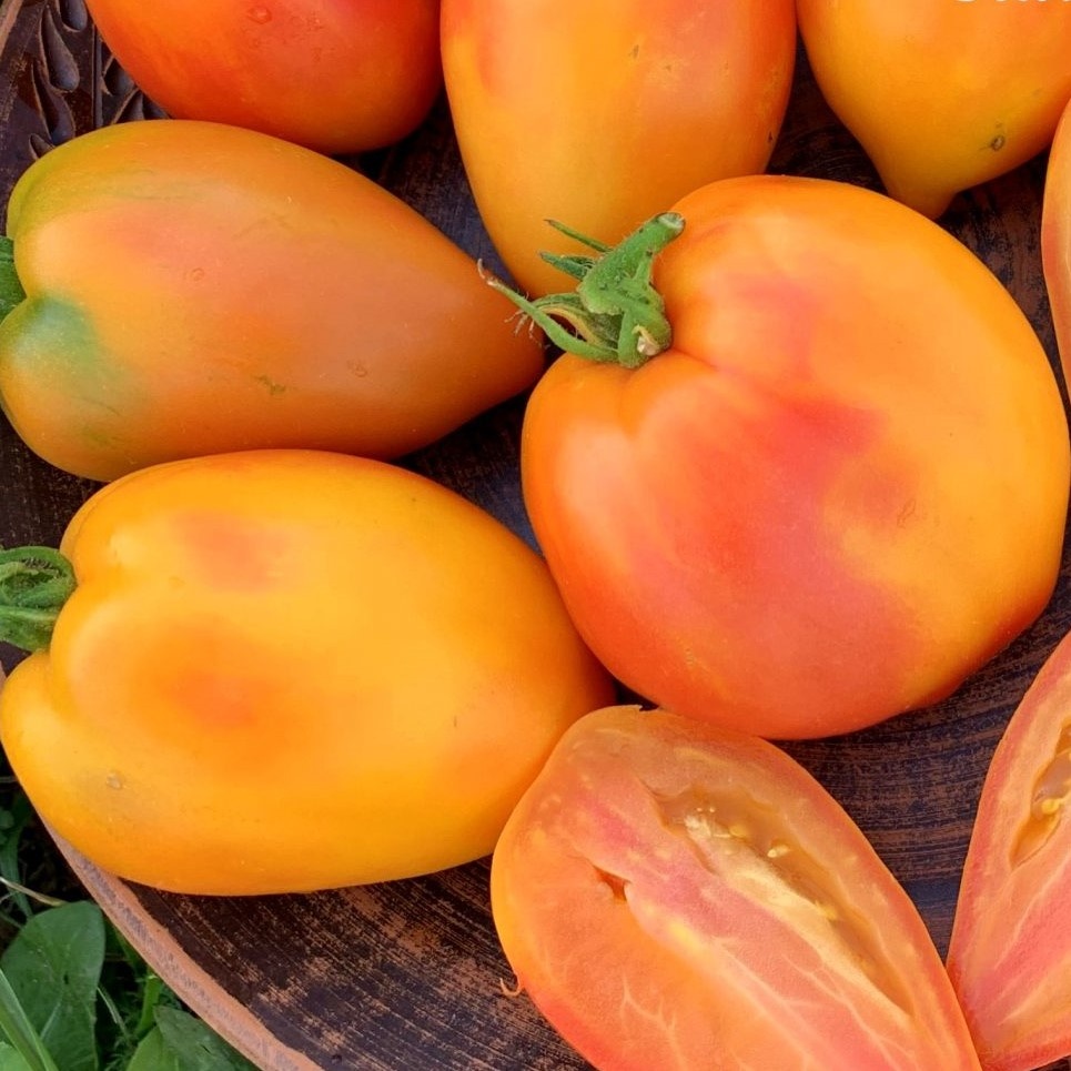 Фото из сети. Мой был краснее