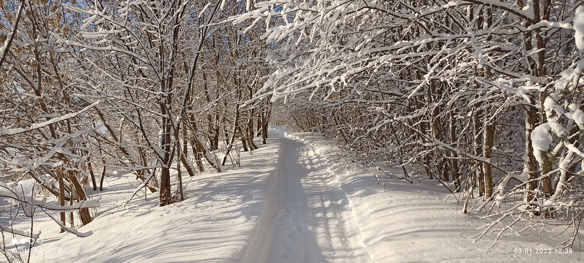 Хорошо, когда светит солнце зимой. Фото автора.