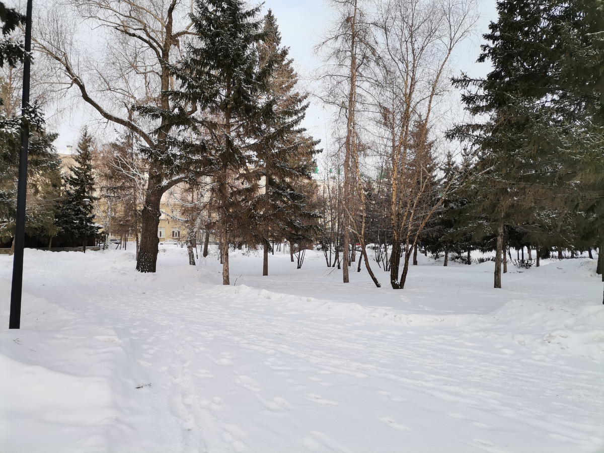 Фото 2025 год