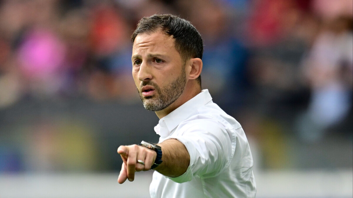     Доменико Тедеско