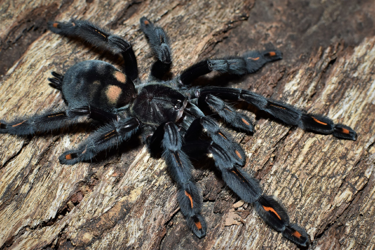 Фото из интернета 