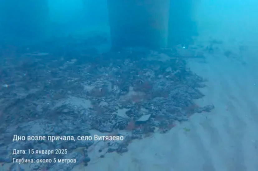 Снимки из под воды витязиво