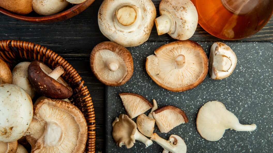    Фото: freepik.com