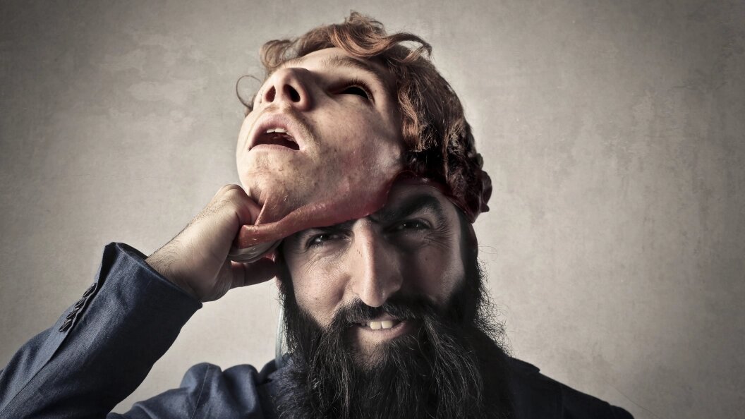    Фото: Ollyy/shutterstock