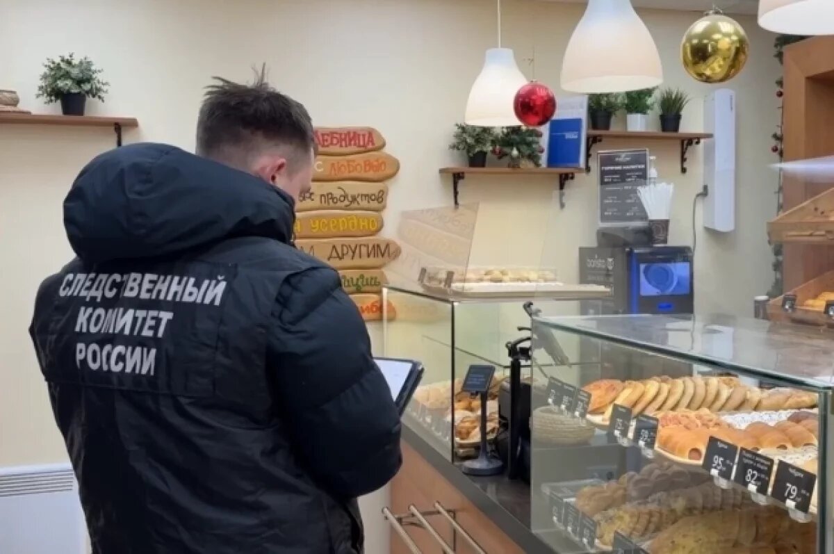    Следком возбудил уголовное дело