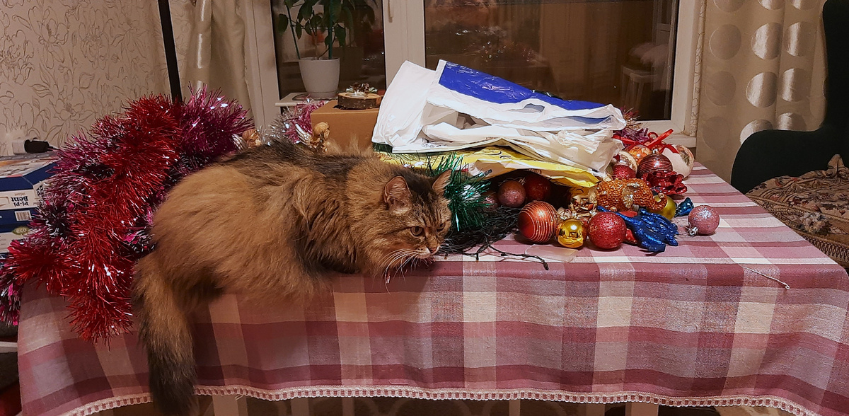 Фото автора