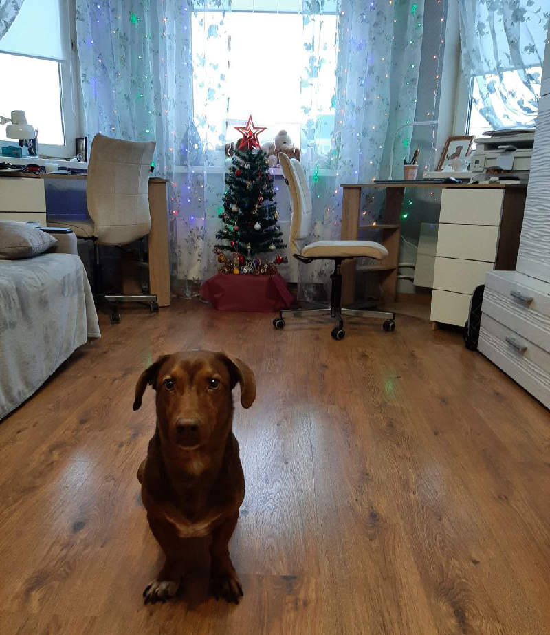 Фото автора