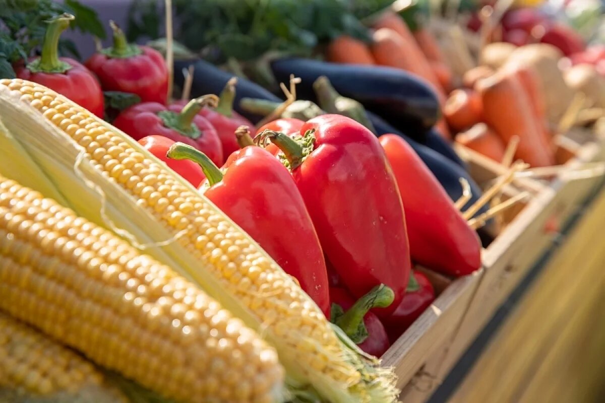    Волгоградская область прорвалась в список органических регионов России