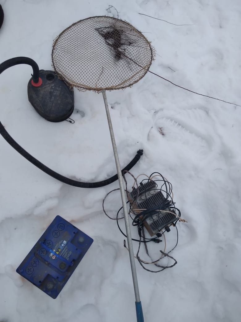  📷    Дорогое удовольствие. Браконьер из Саракташа наловил себе рыбки на два года колонии Марина Шарт