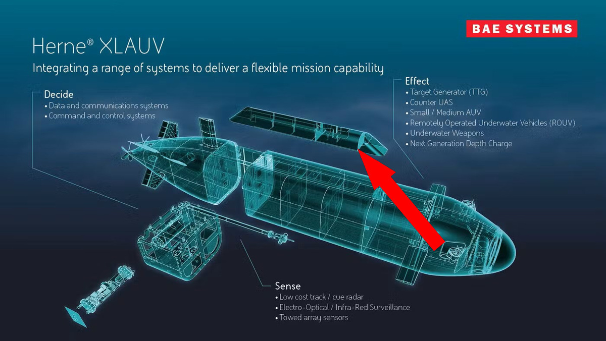    Британский беспилотник XLAUV Herne с дальностью патрулирования 5000 км