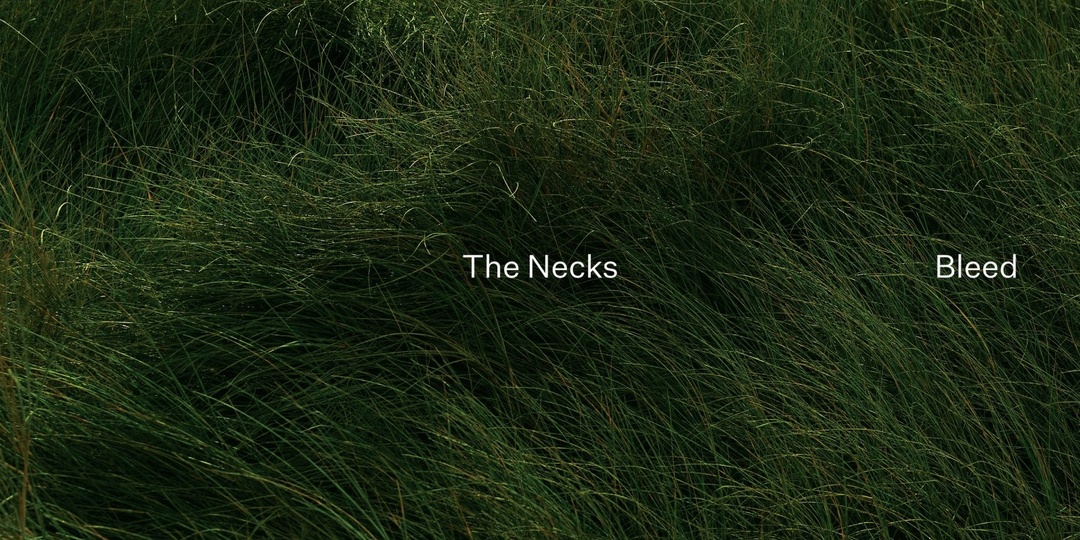 Альбом дня: The Necks «Bleed» (Northern Spy, 2024)