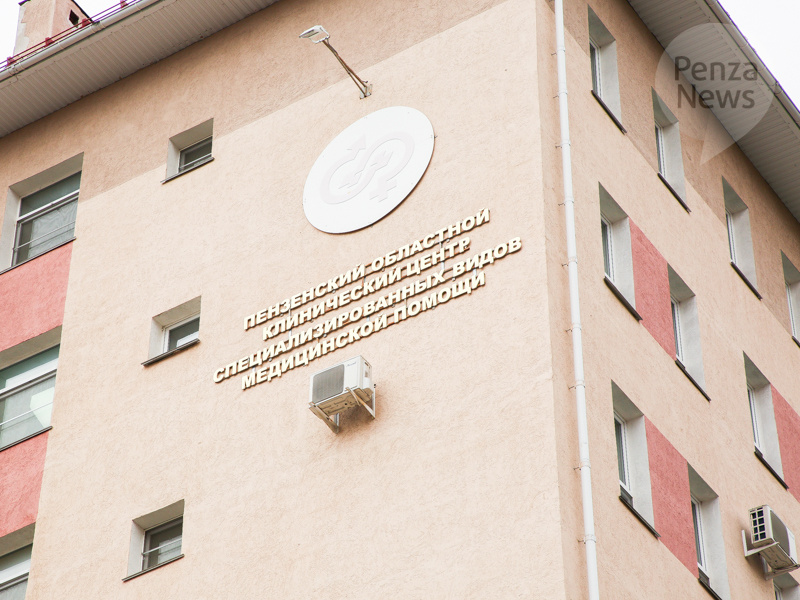    © Фото из архива ИА «PenzaNews»