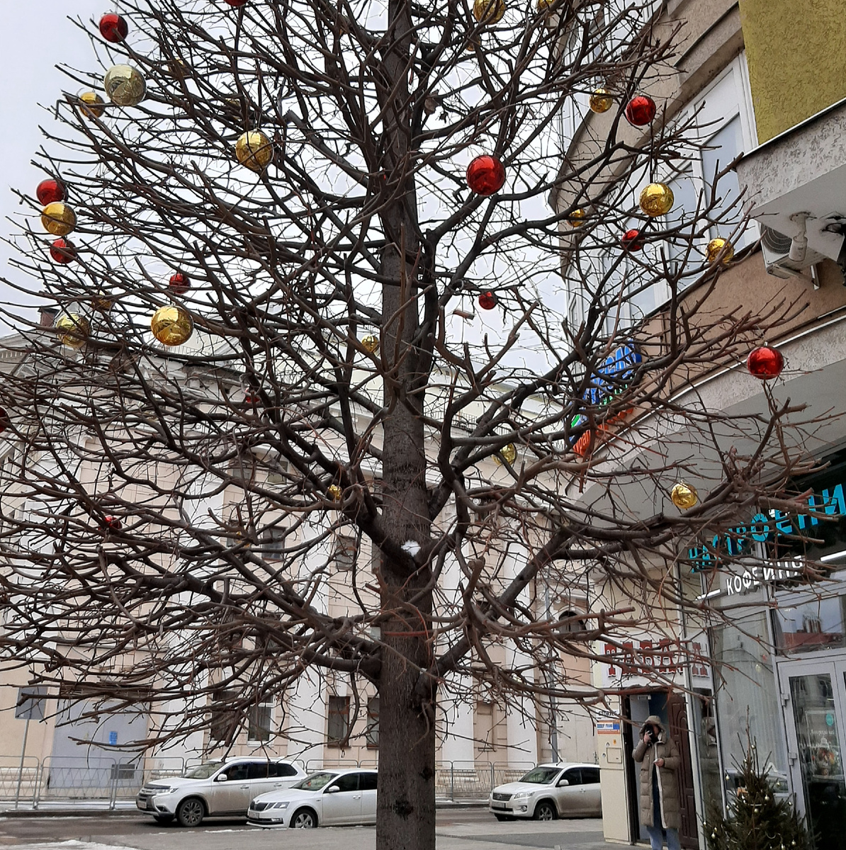 18 января в городе Воронеже