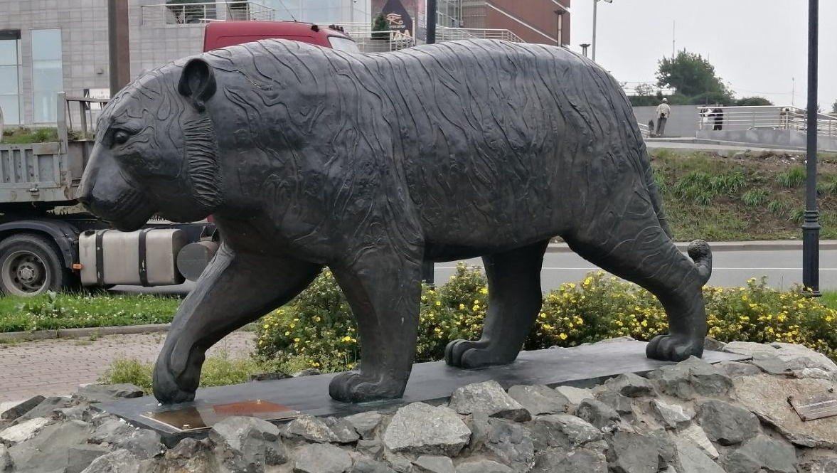     Источник: vostokmedia.com