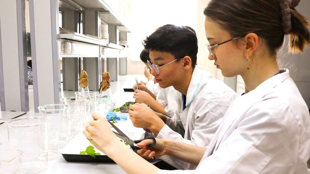    Школьники Югры попали в финал Национальной технологической олимпиады