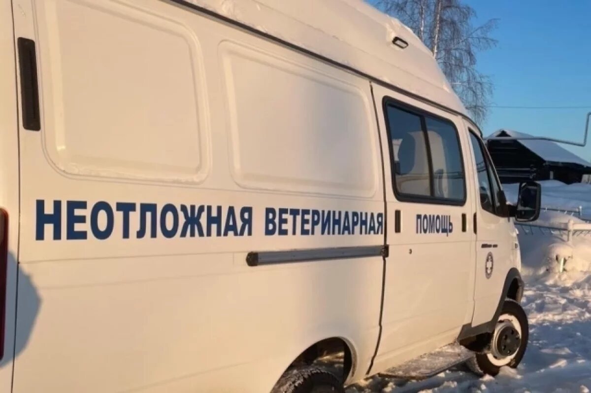    Ветеринары приедут в удаленные территории.