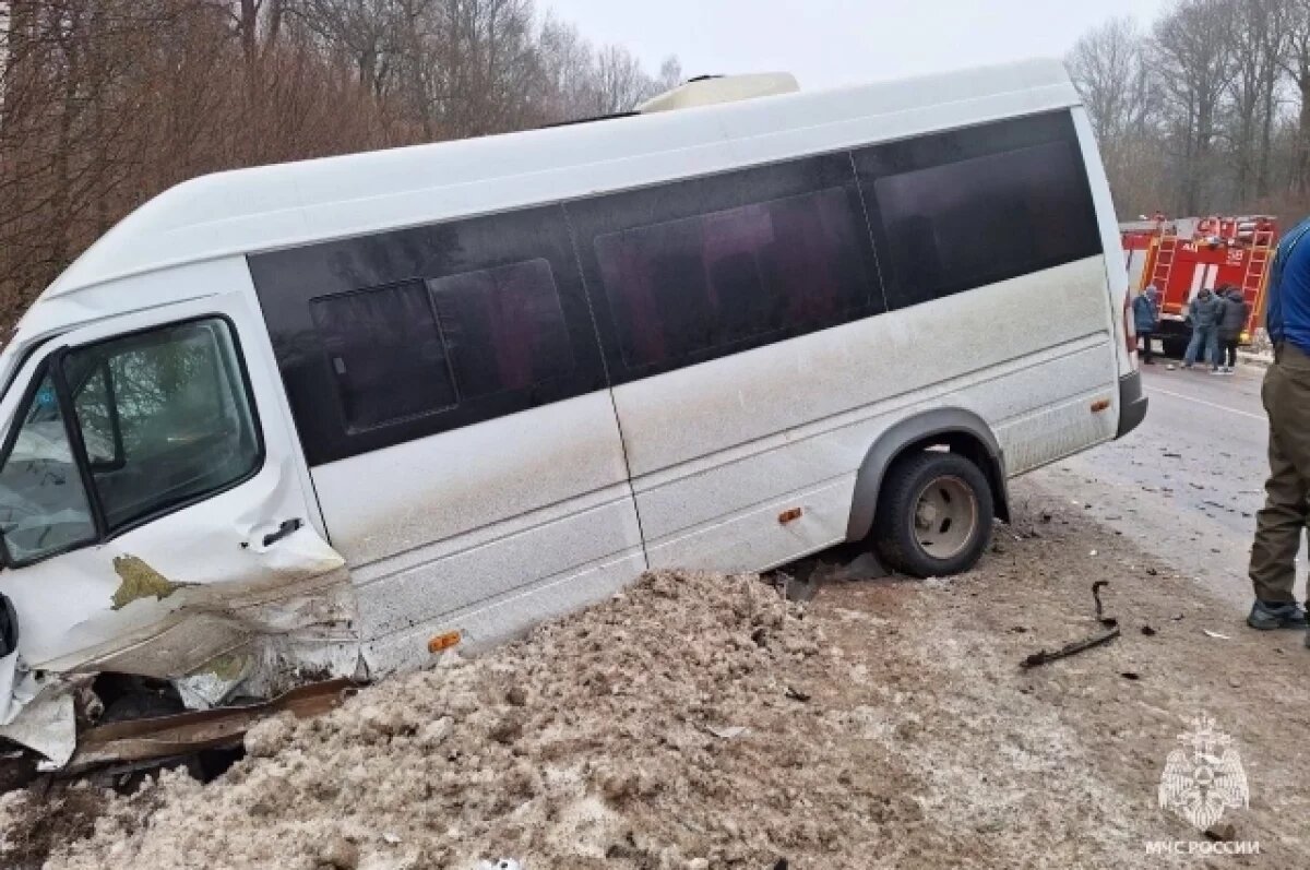    Семь пассажиров маршрутки пострадали в ДТП на автодороге «Тула-Белёв»