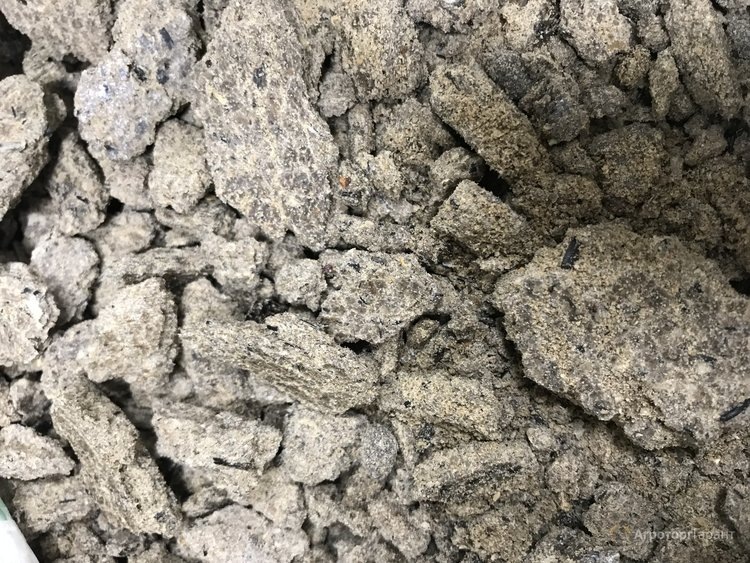    Что считается главным показателем качества подсолнечного жмыха