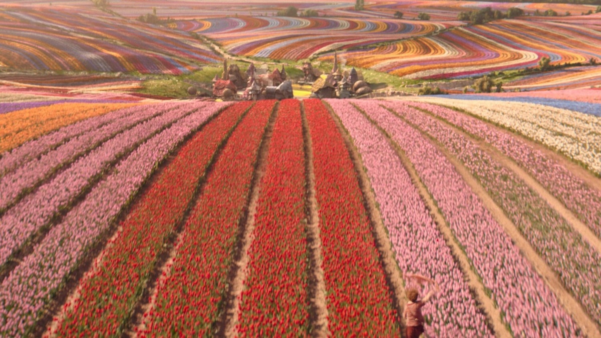 Кадр из фильма «Злая: Сказка о ведьме Запада», 2024 год, режиссер Джон Чу