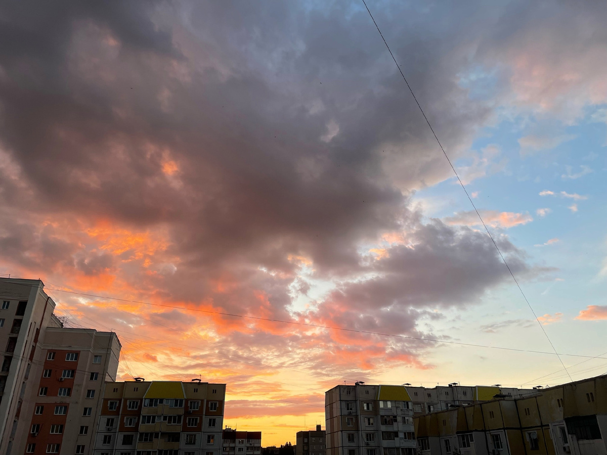 Вид из окна, июнь 2024