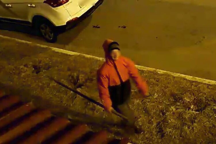 Один из дебоширов на улице с вилами в руке. Фото: предоставлено Дарьей Соколовой