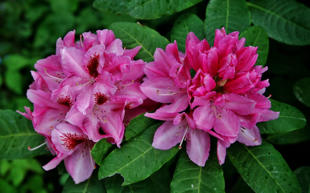 Designed by Freepik. Источник: www.freepik.com