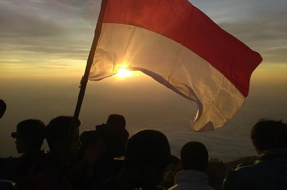    Аналитик Эскобар: вступление Индонезии в БРИКС испугало США