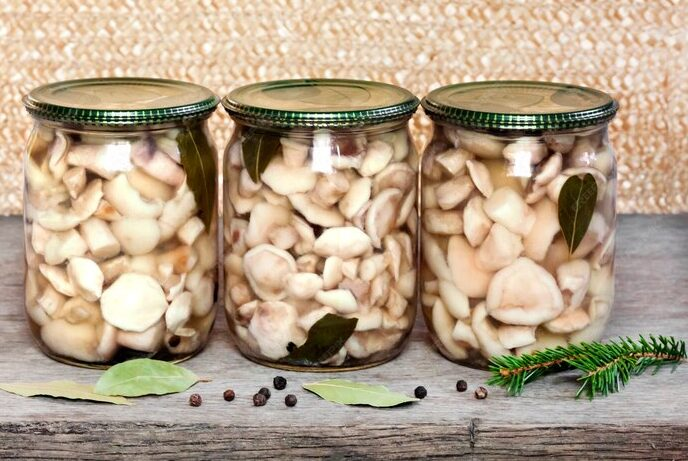 Фото: ru.freepik.com/ tynza